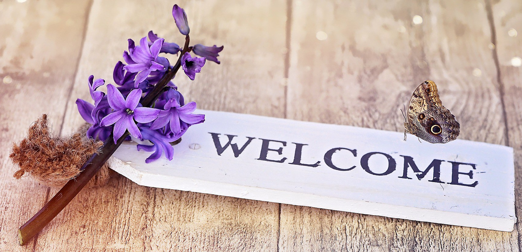 hyacinth-787842_1920