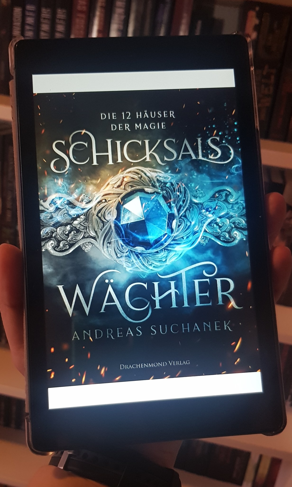 Rezension zu Die 12 Häuser der Magie Band 1 Schicksalswächter